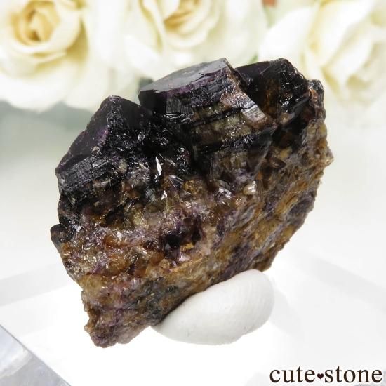 ɥ Zehntausend Ritter Mine ѡץ֥åե饤 No.14μ̿1 cute stone