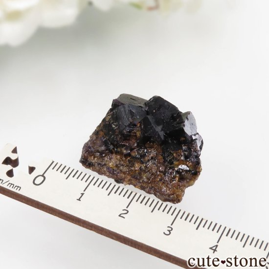 ɥ Zehntausend Ritter Mine ѡץ֥åե饤 No.14μ̿2 cute stone