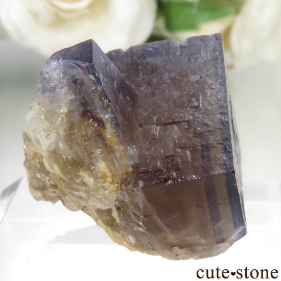 ɥ Dorfel Quarry ֥롼ߥե饤 No.59μ̿0 cute stone