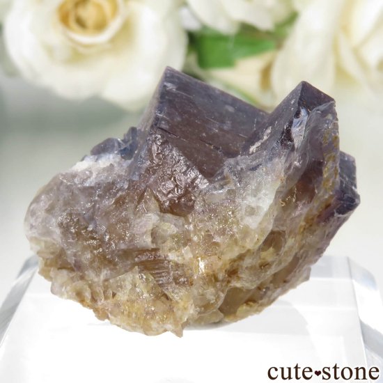 ɥ Dorfel Quarry ֥롼ߥե饤 No.59μ̿1 cute stone