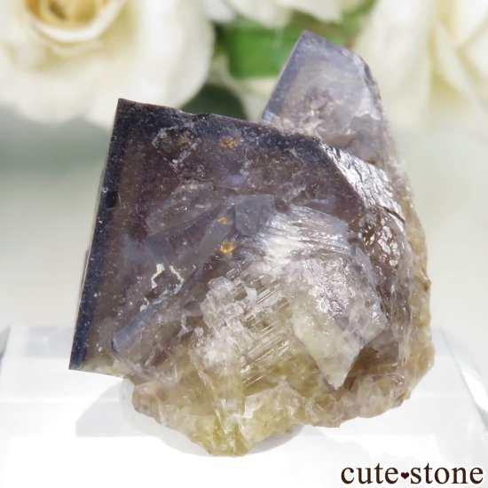 ɥ Dorfel Quarry ֥롼ߥե饤 No.59μ̿2 cute stone