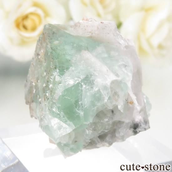 ɥ Dorfel Quarry ꡼ե饤ȡ No.60μ̿1 cute stone