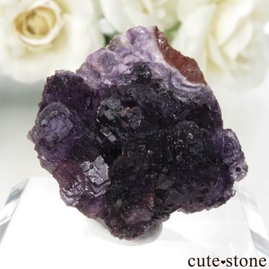 多様な フローライト Quarry産 Dorfel ドイツ No.62 - stone cute - コレクション