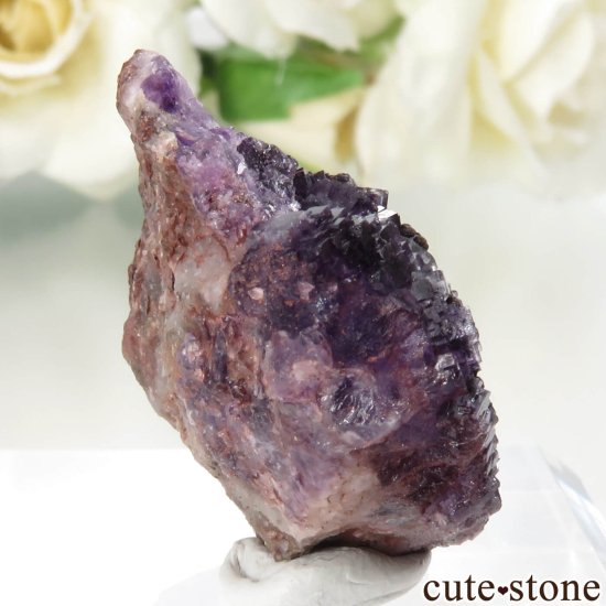 ɥ Dorfel Quarry ե饤 No.62μ̿0 cute stone