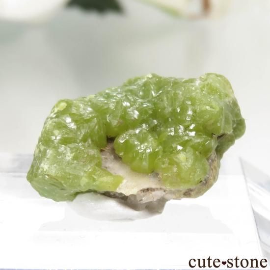 フランス La Vidale mine産 パイロモルファイトの原石 No.2