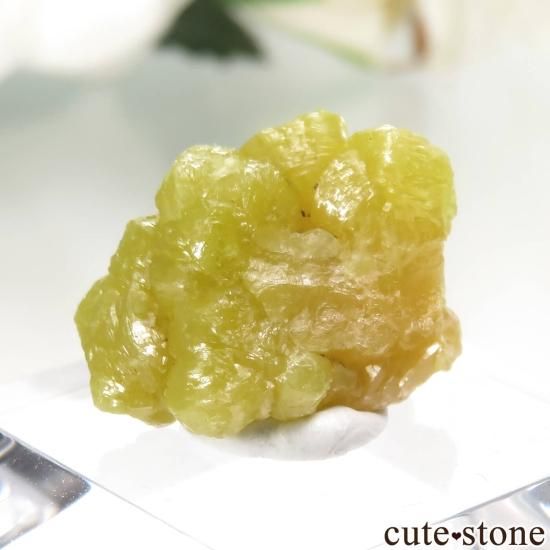 ե La Vidale mine ѥեȤθ No.3μ̿1 cute stone