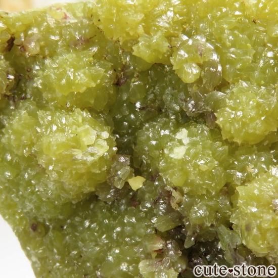 ե La Vidale mine ѥեȤθ No.4μ̿1 cute stone