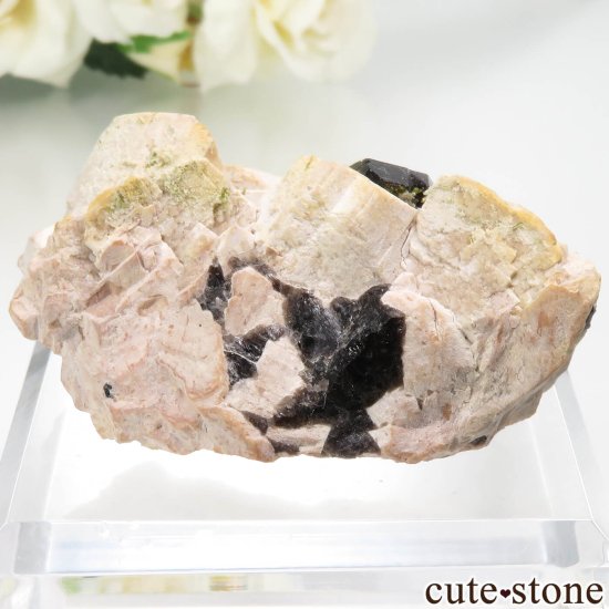  Weifang 󥴡 - ꥪʹ徽ˡեɥѡθ No.9μ̿0 cute stone