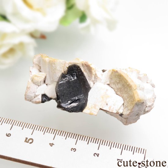  Weifang 󥴡 - ꥪʹ徽ˡեɥѡθ No.9μ̿2 cute stone