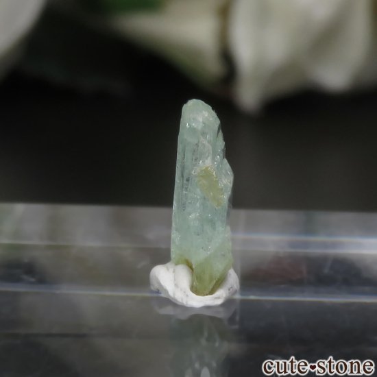 ܥӥ Unificada Mine եեե饤Ȥη뾽 No.101μ̿0 cute stone