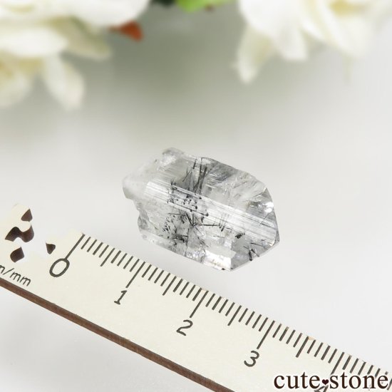 ֥饸 Chia mine ȥޥ  桼졼θ No.1μ̿4 cute stone