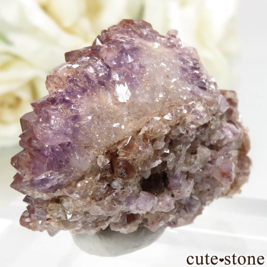 ʥ ٥ åɥ᥸(إޥȥ󥢥᥸)θ No.5μ̿1 cute stone