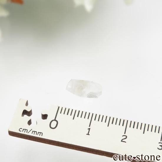 饤ʻ եʥȤθ No.5μ̿1 cute stone