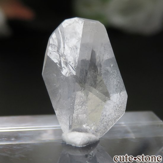 饤ʻ եʥȤθ No.6μ̿1 cute stone