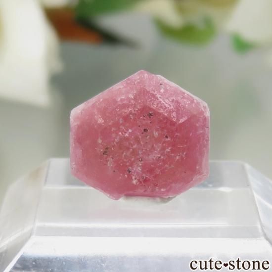 ޥ Sakavalana mine ڥĥåȡʥ饺٥ˤθ No.8