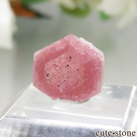 ޥ Sakavalana mine ڥĥåȡʥ饺٥ˤθ No.8μ̿0 cute stone