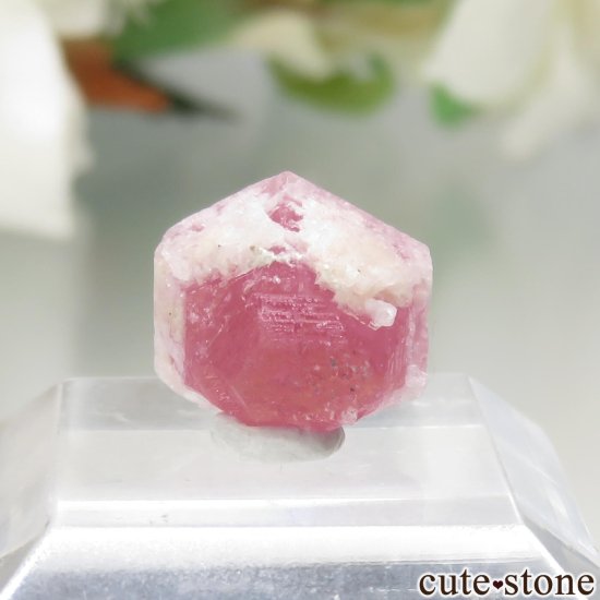 ޥ Sakavalana mine ڥĥåȡʥ饺٥ˤθ No.8μ̿2 cute stone