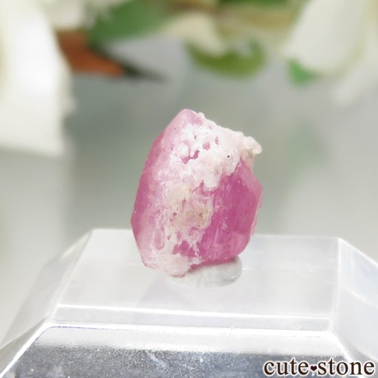 ޥ Sakavalana mine ڥĥåȡʥ饺٥ˤθ No.8μ̿3 cute stone