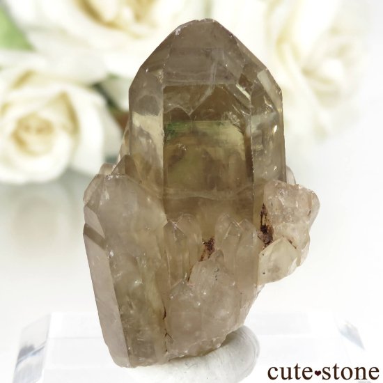 󥴻 ŷȥη뾽ʸСNo.10μ̿0 cute stone