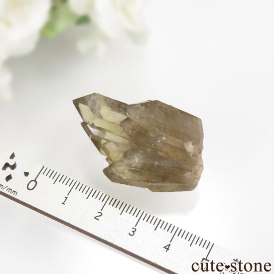 󥴻 ŷȥη뾽ʸСNo.10μ̿1 cute stone