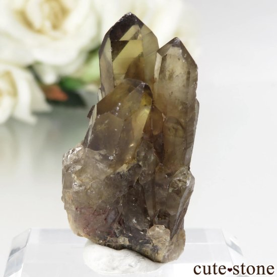 󥴻 ŷȥη뾽ʸСNo.11μ̿0 cute stone