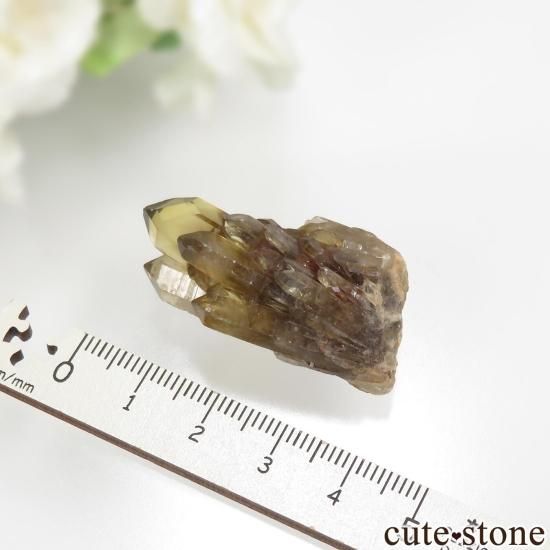 󥴻 ŷȥη뾽ʸСNo.11μ̿1 cute stone