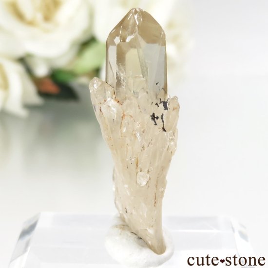 󥴻 ŷȥη뾽ʸСNo.12μ̿0 cute stone