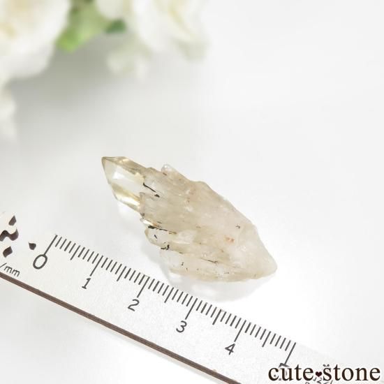 󥴻 ŷȥη뾽ʸСNo.12μ̿1 cute stone