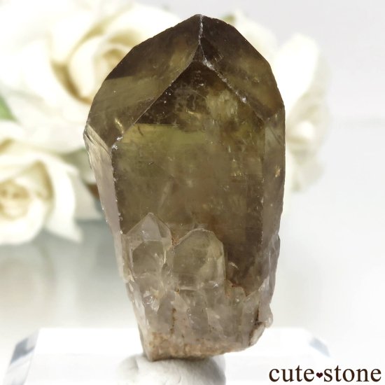 󥴻 ŷȥη뾽ʸСNo.17μ̿0 cute stone