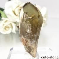 シトリン」の商品一覧(ブレスレット、etc)【cute stone】 シトリン」の商品一覧(ブレスレット、etc)【cute stone】