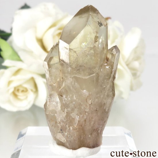 󥴻 ŷȥη뾽ʸСNo.18μ̿0 cute stone