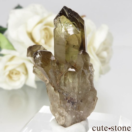 󥴻 ŷȥη뾽ʸСNo.20μ̿0 cute stone