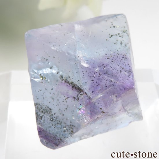 ꥫ Υ Cave-in-Rock ȬΡʤؤ뾽˥ե饤ȡʥ륳ѥ饤 No.24μ̿0 cute stone