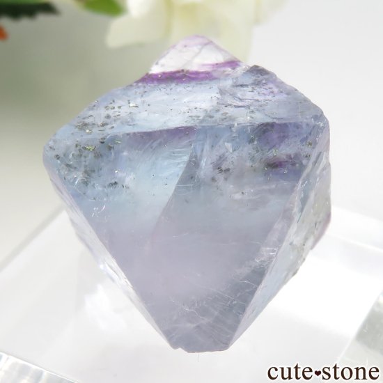 ꥫ Υ Cave-in-Rock ȬΡʤؤ뾽˥ե饤ȡʥ륳ѥ饤 No.24μ̿1 cute stone