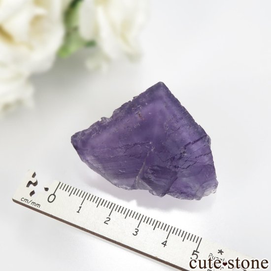 Υ Hastie's Quarry ѡץե饤Ȥθ No.18μ̿3 cute stone