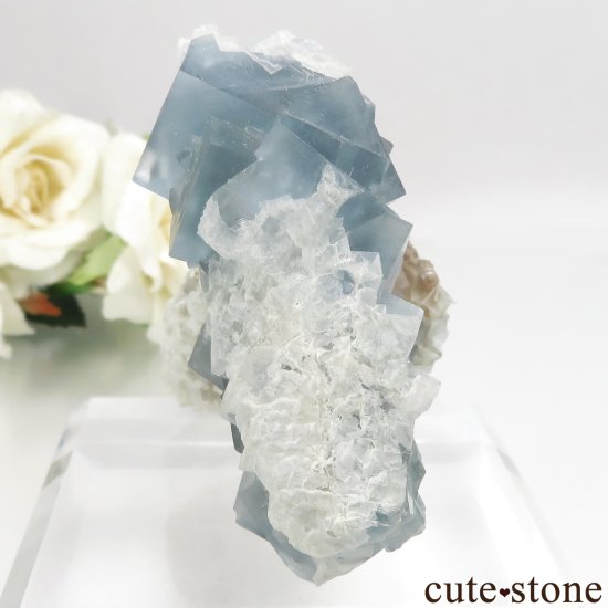 ꥢ ꥢ Monte San Calogero ֥롼ե饤Ȥθ No.1μ̿0 cute stone