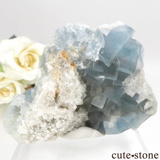 ꥢ ꥢ Monte San Calogero ֥롼ե饤Ȥθ No.1μ̿1 cute stone