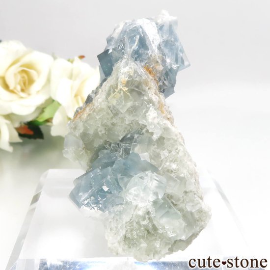 ꥢ ꥢ Monte San Calogero ֥롼ե饤Ȥθ No.1μ̿2 cute stone