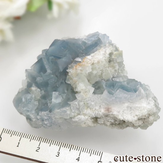 ꥢ ꥢ Monte San Calogero ֥롼ե饤Ȥθ No.1μ̿4 cute stone