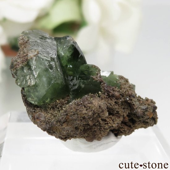 ֥饸 Sao Gabriel da Cachoeira ɥޥȤθ No.1μ̿0 cute stone