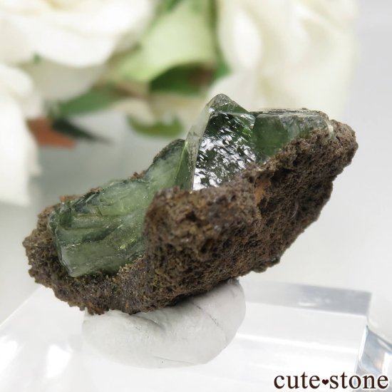 ֥饸 Sao Gabriel da Cachoeira ɥޥȤθ No.1μ̿1 cute stone