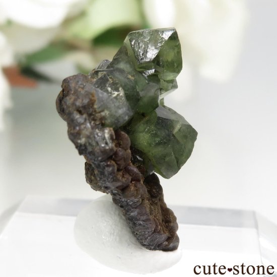 ֥饸 Sao Gabriel da Cachoeira ɥޥȤθ No.2μ̿0 cute stone