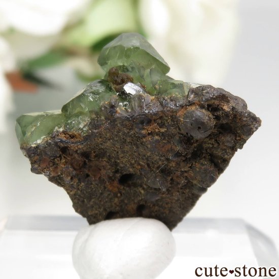 ֥饸 Sao Gabriel da Cachoeira ɥޥȤθ No.2μ̿1 cute stone