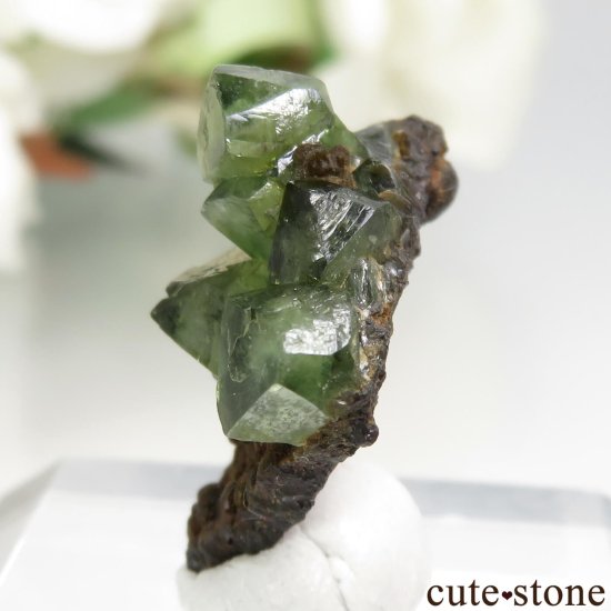 ֥饸 Sao Gabriel da Cachoeira ɥޥȤθ No.2μ̿2 cute stone