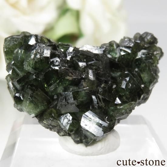 ֥饸 Sao Gabriel da Cachoeira ɥޥȤθ No.3