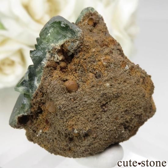 ֥饸 Sao Gabriel da Cachoeira ɥޥȤθ No.5μ̿1 cute stone