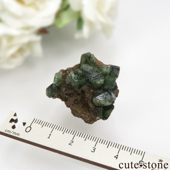 ֥饸 Sao Gabriel da Cachoeira ɥޥȤθ No.5μ̿3 cute stone
