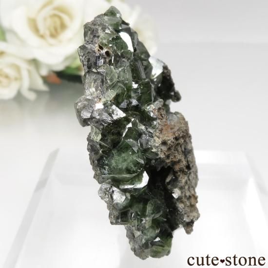 ֥饸 Sao Gabriel da Cachoeira ɥޥȤθ No.6μ̿0 cute stone