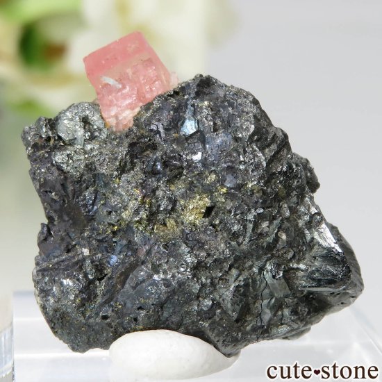 ɽ Sweet Home Mine ɥȡѥ饤ȡĤθ No.14μ̿1 cute stone