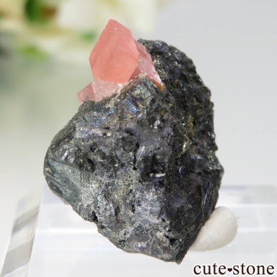 ɽ Sweet Home Mine ɥȡѥ饤ȡĤθ No.14μ̿2 cute stone